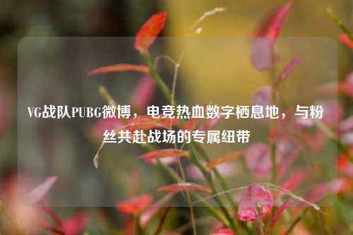 VG战队PUBG微博,电竞热血数字栖息地,与粉丝共赴战场的专属纽带