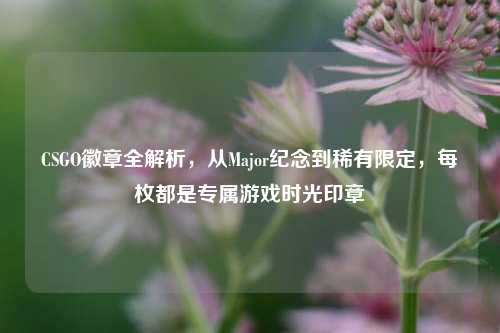 CSGO徽章全解析，从Major纪念到稀有限定，每枚都是专属游戏时光印章