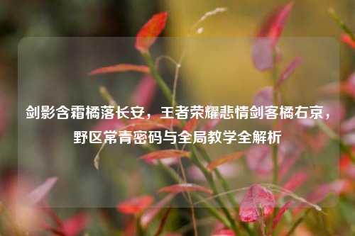 剑影含霜橘落长安,王者荣耀悲情剑客橘右京,野区常青密码与全局教学全解析