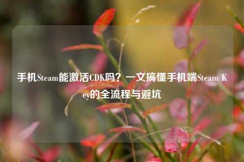 手机Steam能激活CDK吗?一文搞懂手机端Steam Key的全流程与避坑