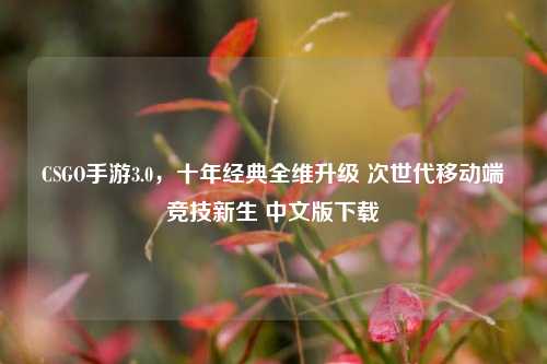 CSGO手游3.0,十年经典全维升级 次世代移动端竞技新生 中文版下载