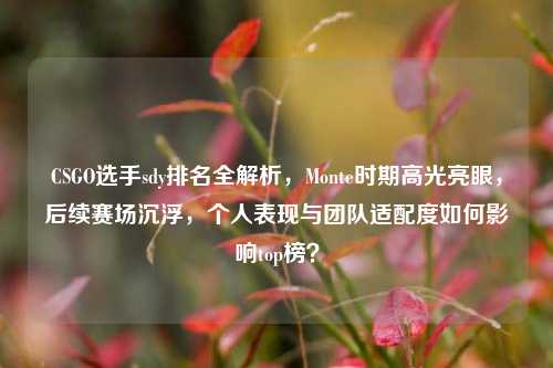 CSGO选手sdy排名全解析,Monte时期高光亮眼,后续赛场沉浮,个人表现与团队适配度如何影响top榜?