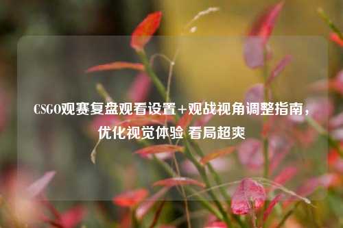 CSGO观赛复盘观看设置+观战视角调整指南,优化视觉体验 看局超爽