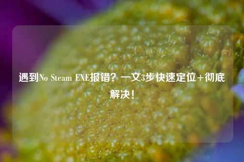 遇到No Steam EXE报错？一文3步快速定位+彻底解决！