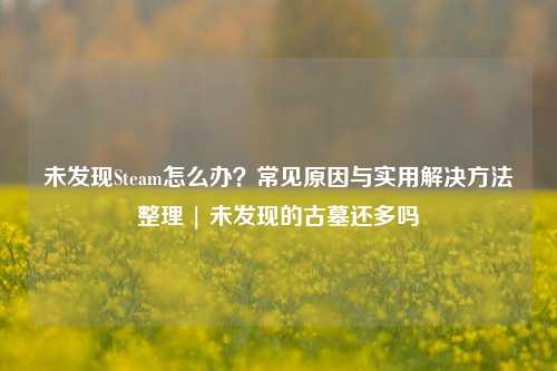未发现Steam怎么办?常见原因与实用解决方法整理 | 未发现的古墓还多吗