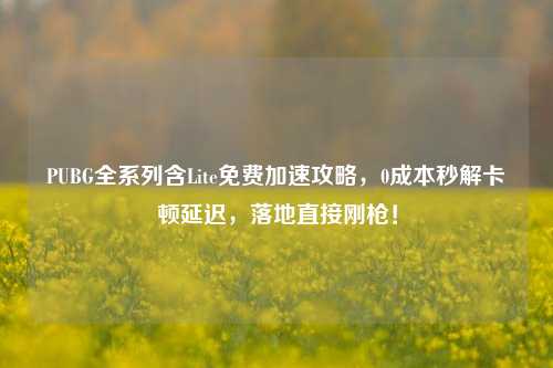 PUBG全系列含Lite免费加速攻略,0成本秒解卡顿延迟,落地直接刚枪!