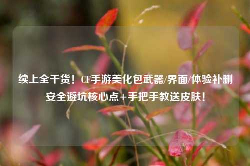 续上全干货！CF手游美化包武器/界面/体验补删安全避坑核心点+手把手教送皮肤！