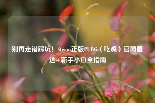 别再走错踩坑!Steam正版PUBG(吃鸡)官网直达+新手小白全指南
