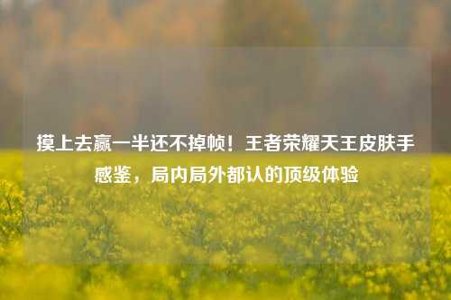 摸上去赢一半还不掉帧！王者荣耀天王皮肤手感鉴，局内局外都认的顶级体验
