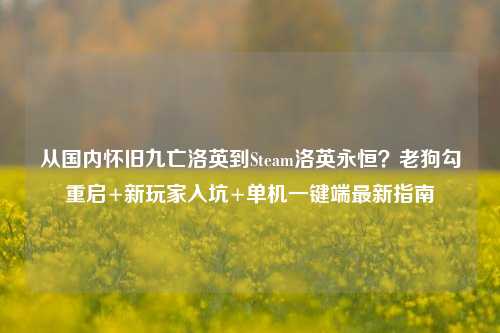 从国内怀旧九亡洛英到Steam洛英永恒?老狗勾重启+新玩家入坑+单机一键端最新指南