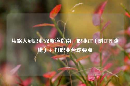 从路人到职业双赛道指南,职业CF(附CFPL路线)+ 打职业台球要点