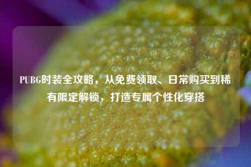 PUBG时装全攻略,从免费领取、日常购买到稀有限定解锁,打造专属个性化穿搭