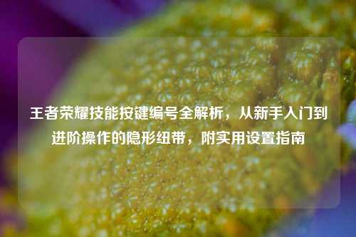 王者荣耀技能按键编号全解析,从新手入门到进阶操作的隐形纽带,附实用设置指南