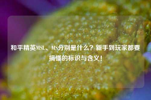 和平精英MSL、MS分别是什么？新手到玩家都要搞懂的标识与含义！