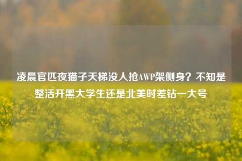 凌晨官匹夜猫子天梯没人抢AWP架侧身?不知是整活开黑大学生还是北美时差钻一大号
