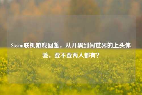 Steam联机游戏图鉴,从开黑到闯世界的上头体验,要不要两人都有?