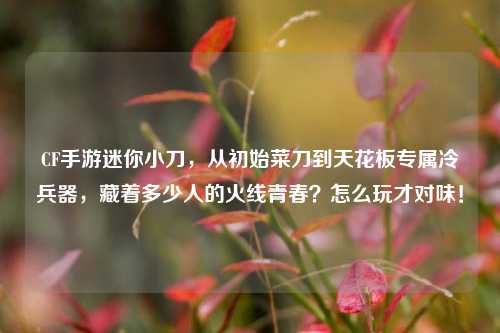 CF手游迷你小刀,从初始菜刀到天花板专属冷兵器,藏着多少人的火线青春?怎么玩才对味!