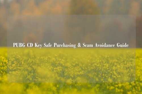 PUBG CD Key Safe Purchasing & Scam Avoidance Guide