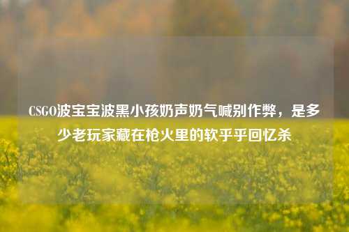 CSGO波宝宝波黑小孩奶声奶气喊别作弊,是多少老玩家藏在枪火里的软乎乎回忆杀