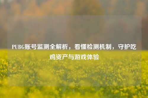 PUBG账号监测全解析，看懂检测机制，守护吃鸡资产与游戏体验