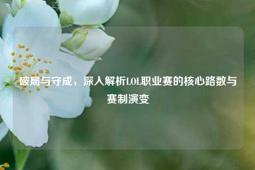 破局与守成，深入解析LOL职业赛的核心路数与赛制演变