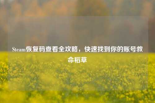 Steam恢复码查看全攻略,快速找到你的账号救命稻草