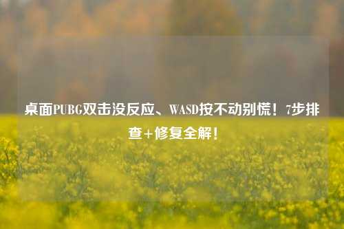 桌面PUBG双击没反应、WASD按不动别慌！7步排查+修复全解！