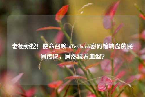 老梗新挖!使命召唤16Verdansk密码箱转盘的民间传说,居然藏着血型?