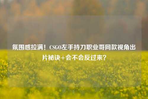 氛围感拉满!CSGO左手持刀职业哥同款视角出片秘诀+会不会反过来?