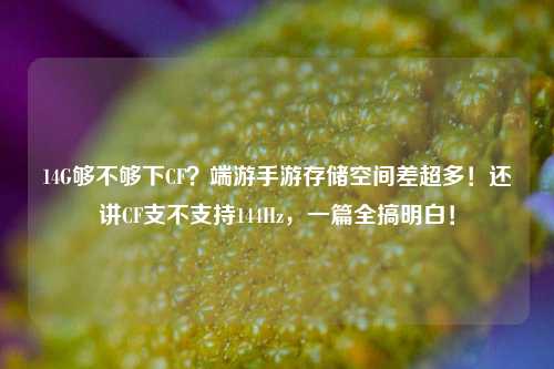 14G够不够下CF?端游手游存储空间差超多!还讲CF支不支持144Hz,一篇全搞明白!