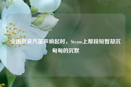 全国默哀汽笛声响起时，Steam上那段短暂却沉甸甸的沉默