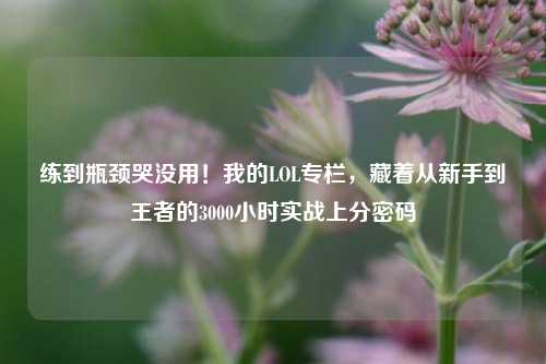 练到瓶颈哭没用!我的LOL专栏,藏着从新手到王者的3000小时实战上分密码