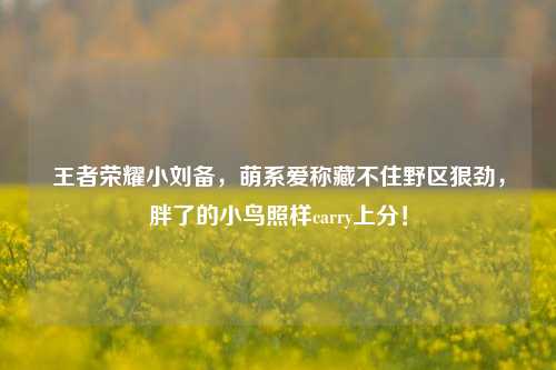 王者荣耀小刘备,萌系爱称藏不住野区狠劲,胖了的小鸟照样carry上分!