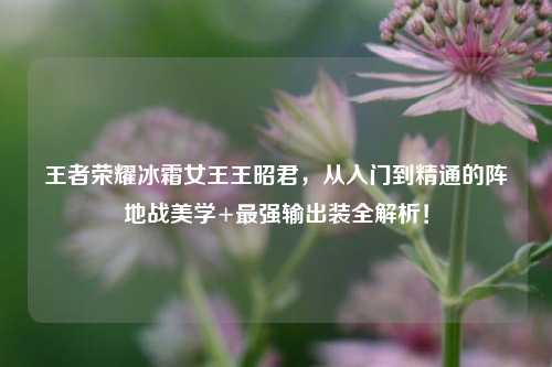 王者荣耀冰霜女王王昭君，从入门到精通的阵地战美学+最强输出装全解析！