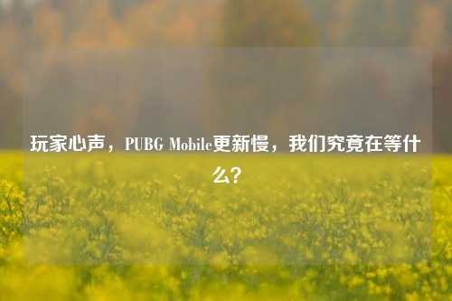 玩家心声，PUBG Mobile更新慢，我们究竟在等什么？