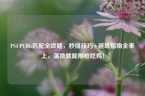 PS4 PUBG匹配全攻略，秒排技巧+避坑指南全奉上，落地就能刚枪吃鸡！