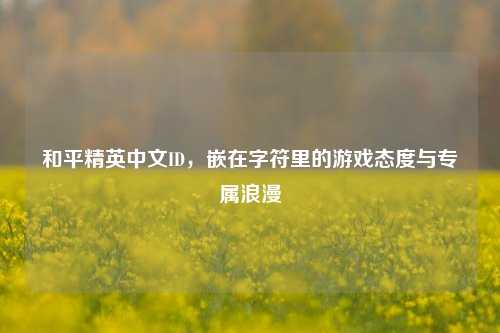 和平精英中文ID,嵌在字符里的游戏态度与专属浪漫