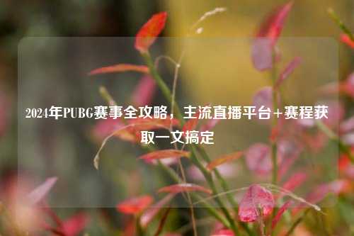 2024年PUBG赛事全攻略,主流直播平台+赛程获取一文搞定