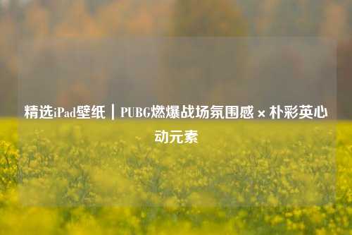 精选iPad壁纸|PUBG燃爆战场氛围感×朴彩英心动元素