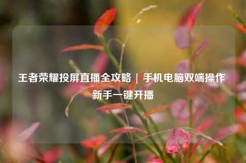 王者荣耀投屏直播全攻略 | 手机电脑双端操作 新手一键开播