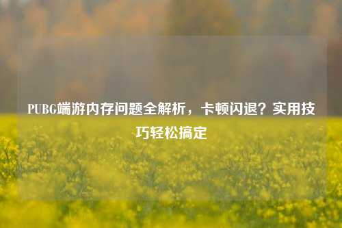 PUBG端游内存问题全解析，卡顿闪退？实用技巧轻松搞定