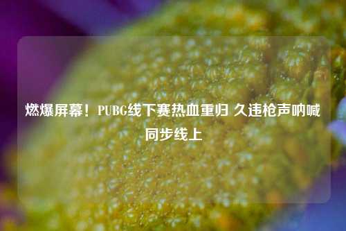 燃爆屏幕!PUBG线下赛热血重归 久违枪声呐喊同步线上