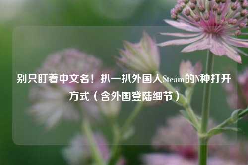 别只盯着中文名!扒一扒外国人Steam的N种打开方式(含外国登陆细节)