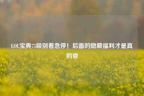 LOL宝典75级别着急停!后面的隐藏福利才是真的香