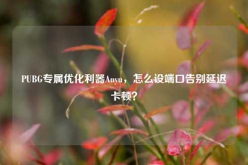 PUBG专属优化利器Anyu，怎么设端口告别延迟卡顿？