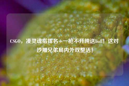 CSGO，凑灵魂指挥名+一枪不开纯送buff！这对沙雕兄弟局内外双整活！