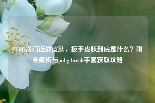 PUBG冷门近战皮肤,扳手皮肤到底是什么?附全解析与pubg break手套获取攻略