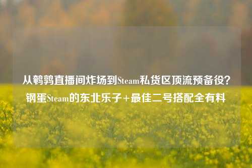 从鹌鹑直播间炸场到Steam私货区顶流预备役？钢蛋Steam的东北乐子+最佳二号搭配全有料