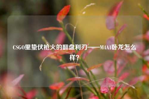 CSGO里蛰伏枪火的翻盘利刃——M4A1卧龙怎么样?