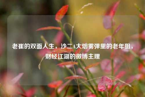 老崔的双面人生，沙二A大烟雾弹里的老年狙，财经江湖的微博主理